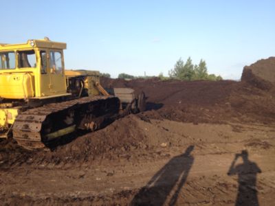 Торф низинный